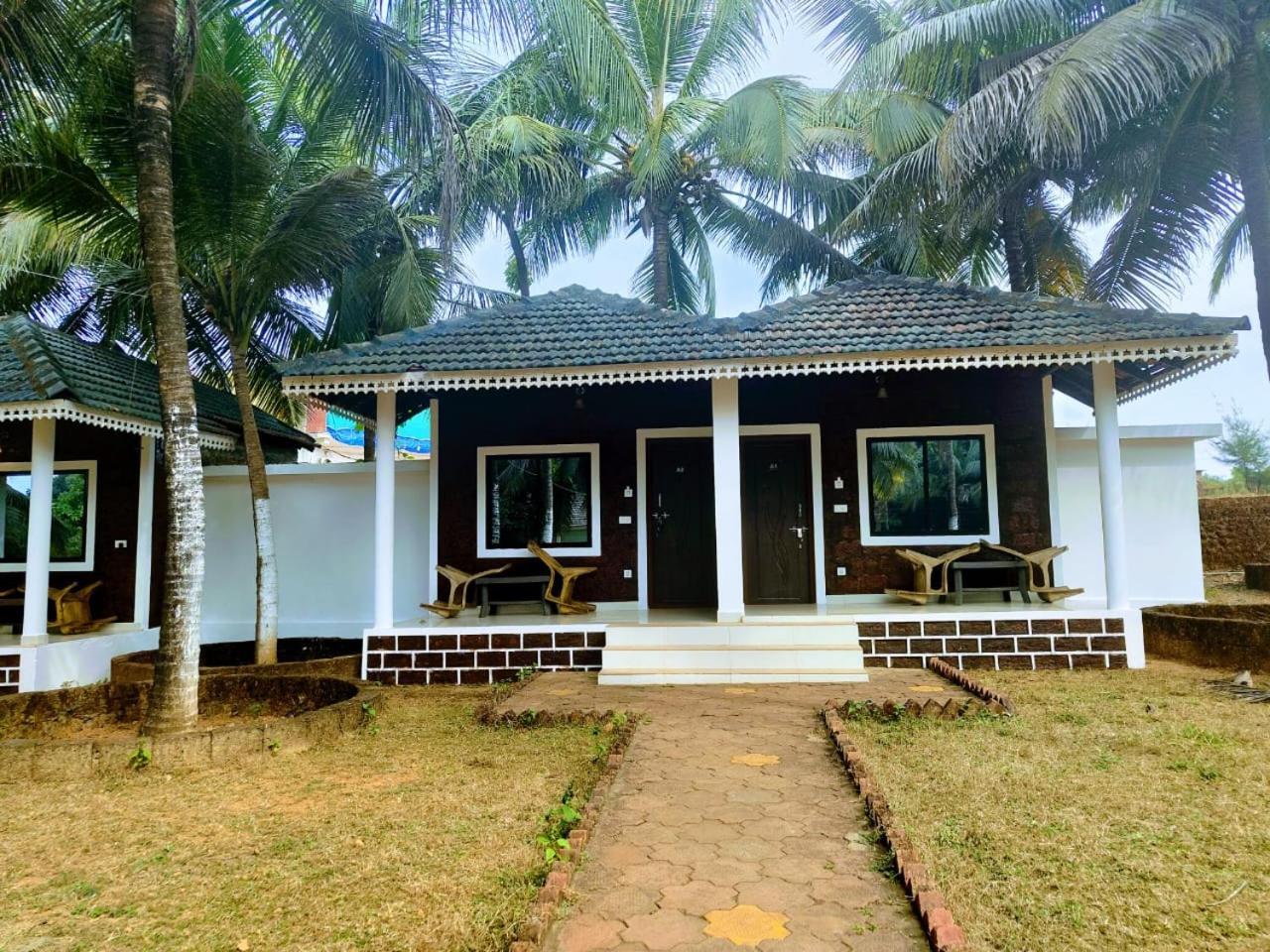 Coconut Tree Gokarna