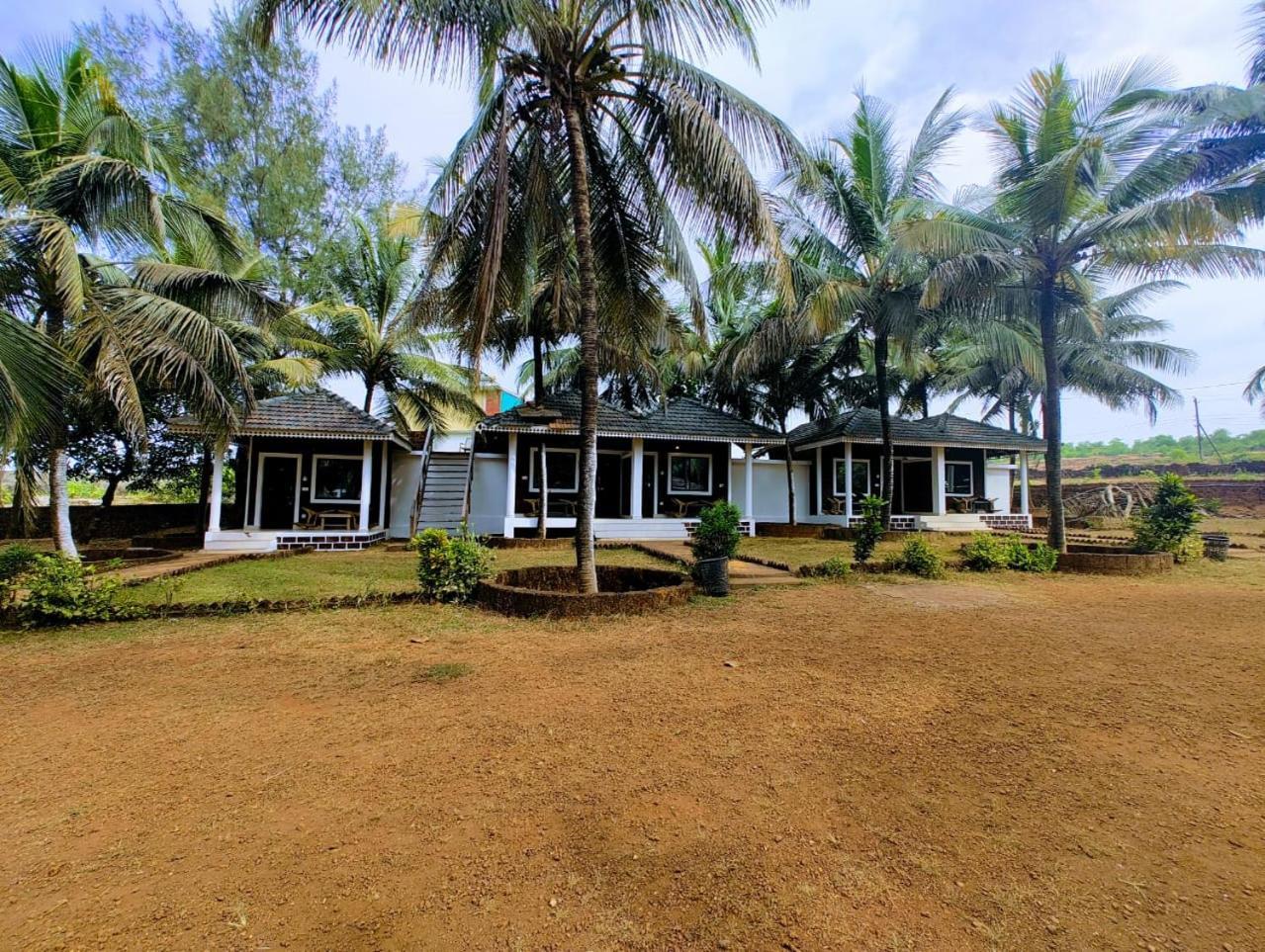 Resort Coconut Tree Gokarna *