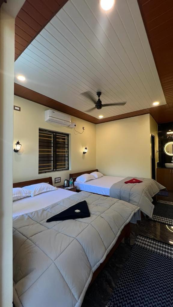 Golden Shack Hostel