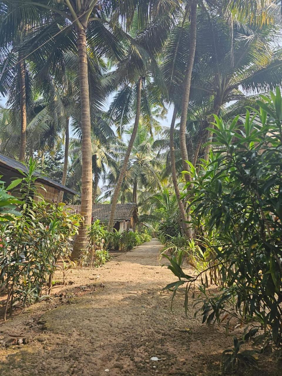 Lighthouse Cafe And House * Gokarna (Karnataka)