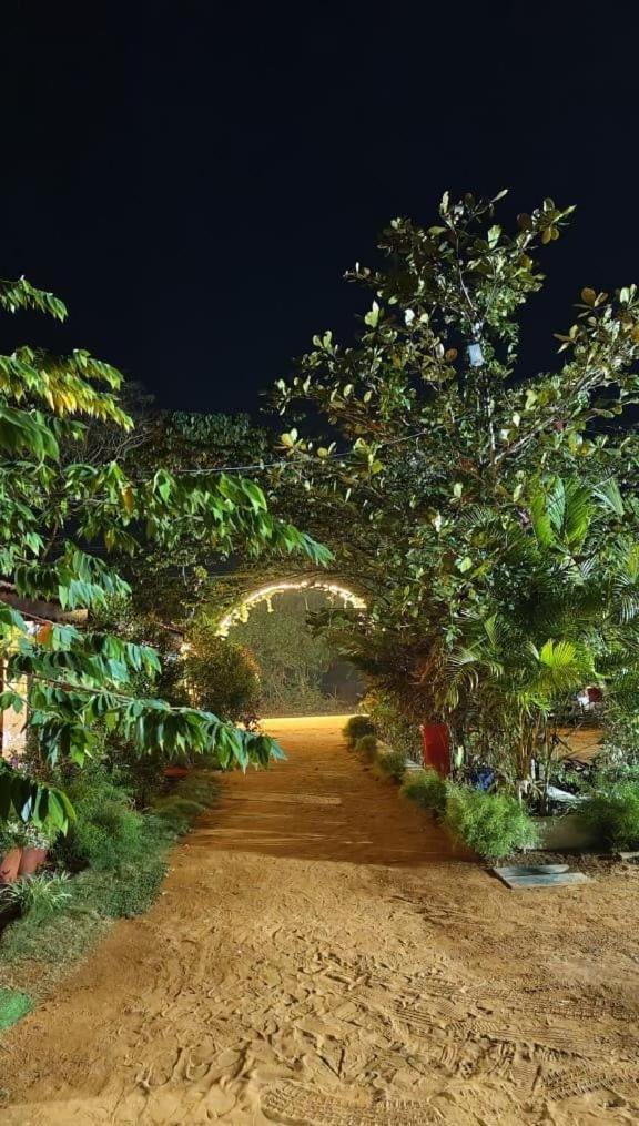 Niyati Gokarna (Karnataka)