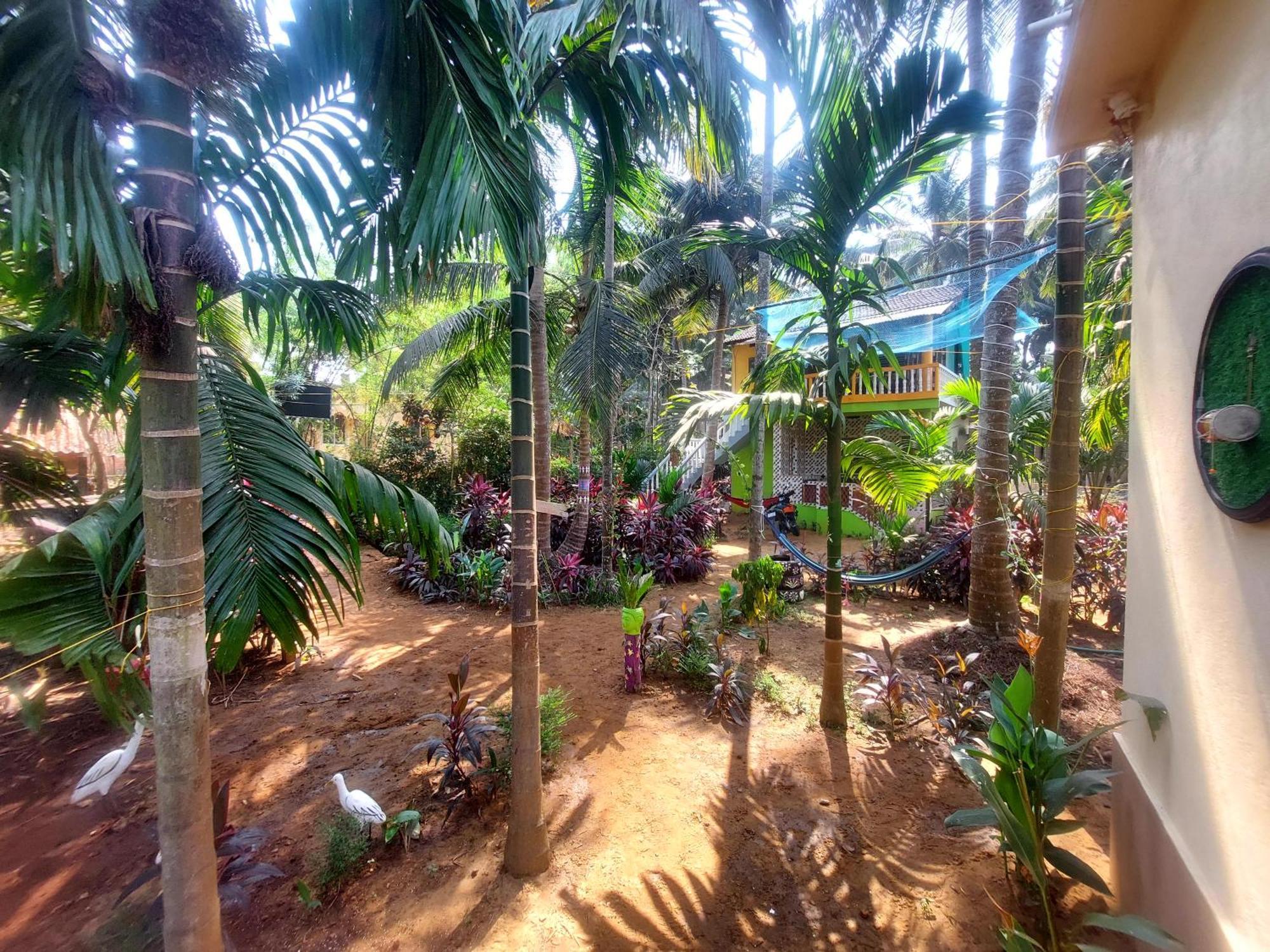 Areca Nest Farm stay *