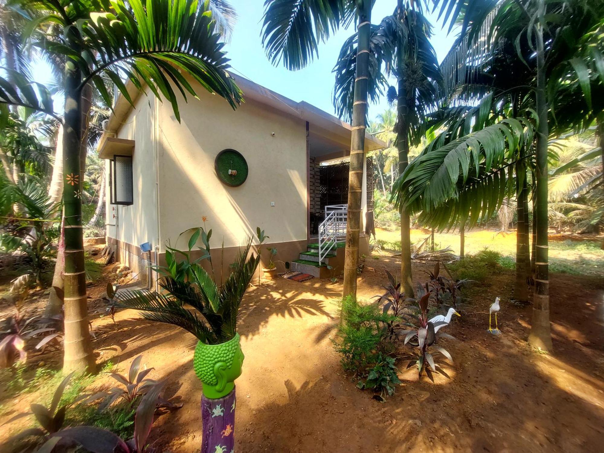 Areca Nest
