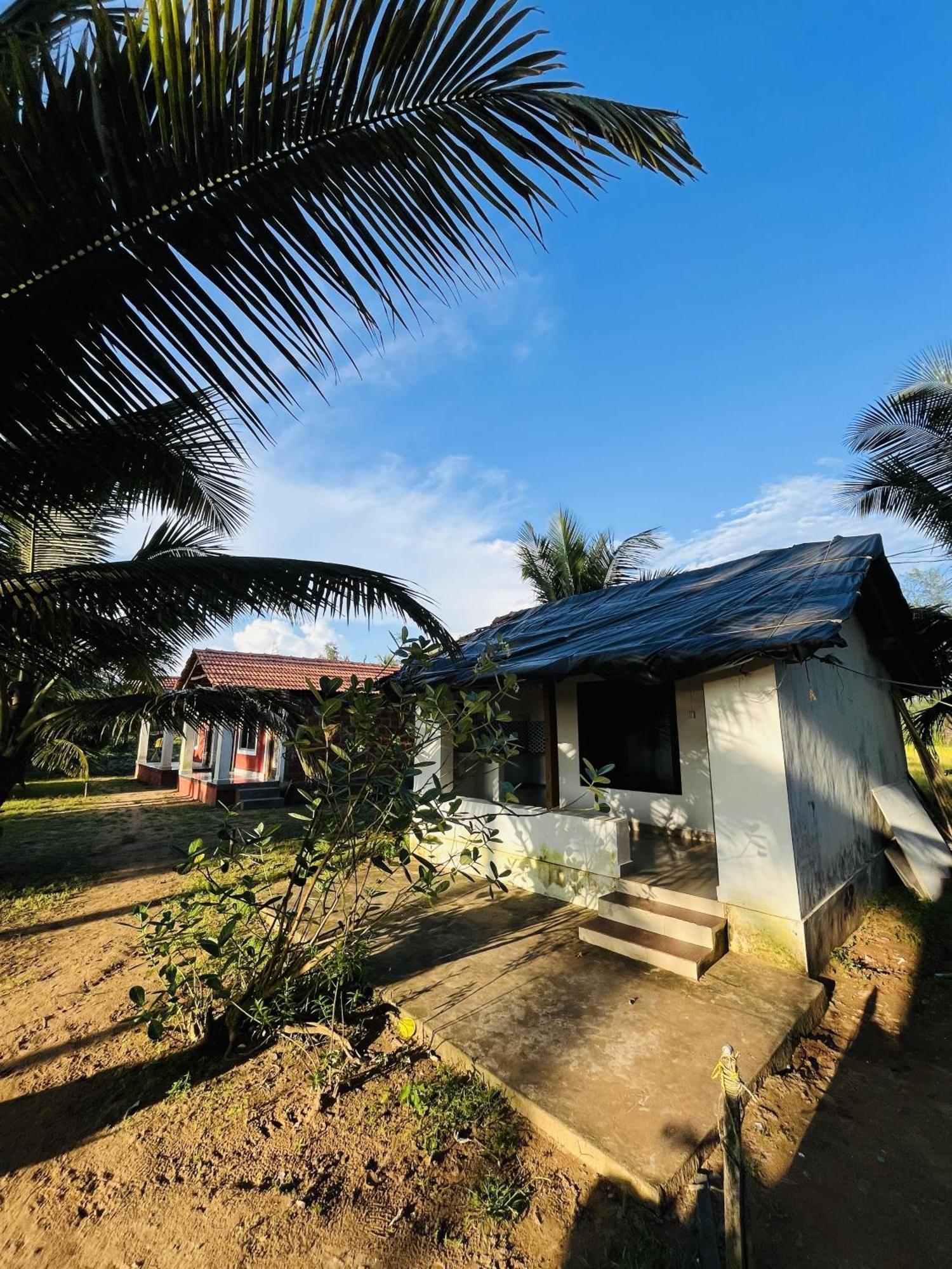 Absolute Paradise Gokarna (Karnataka)