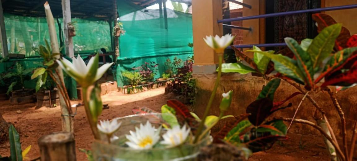 Homestay River Breeze Gokarna