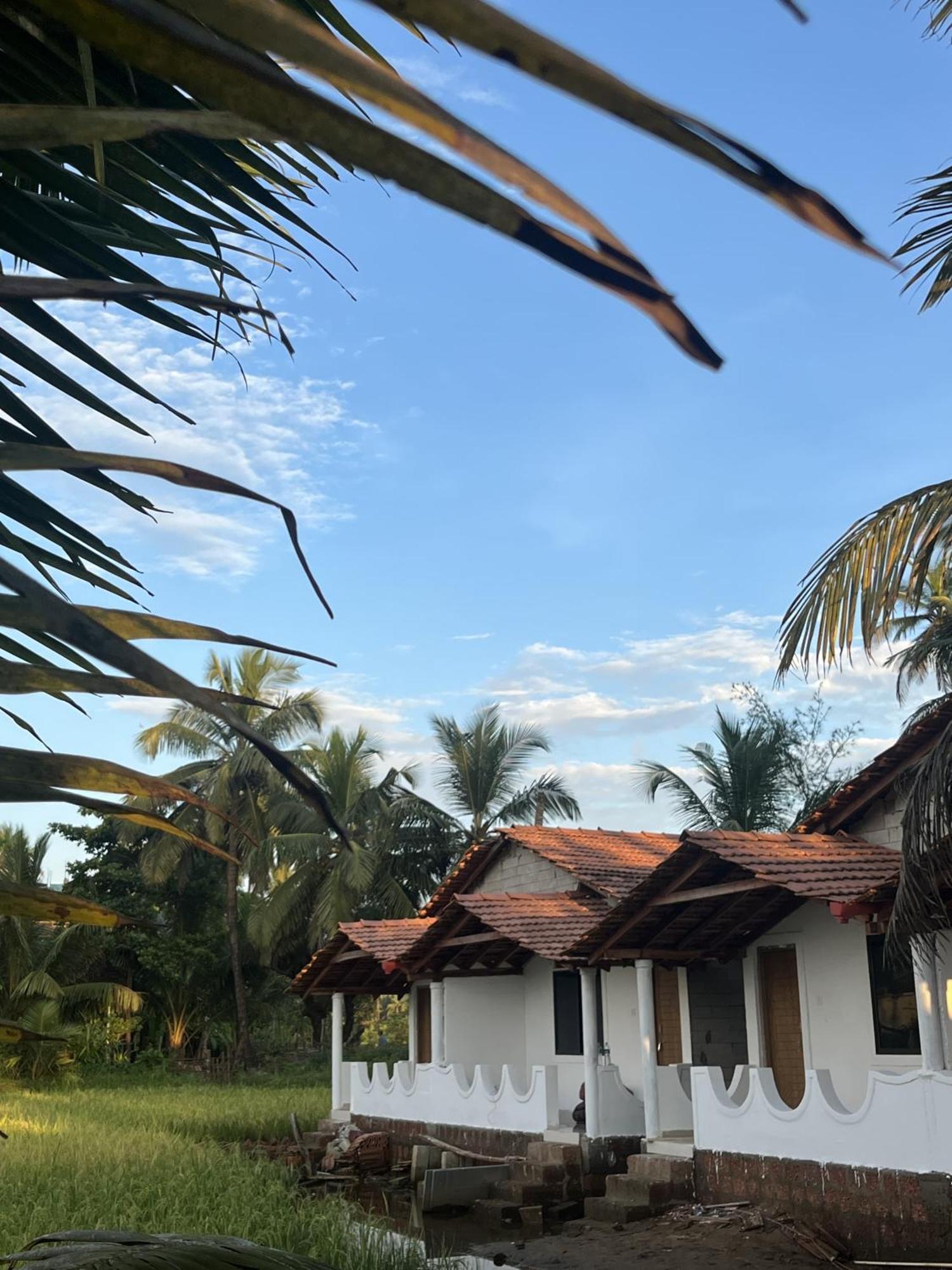 Absolute Paradise Hostel Gokarna (Karnataka)