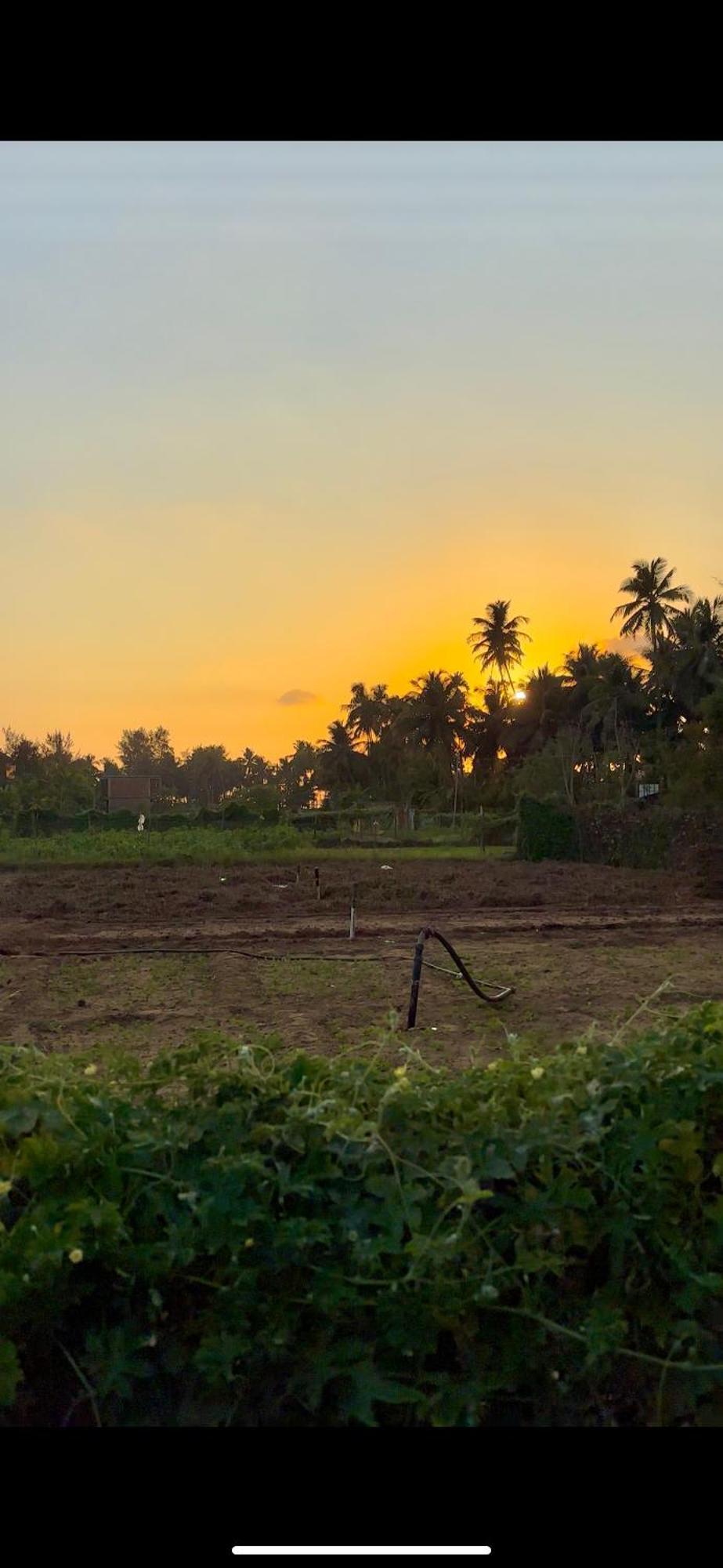 Homestay Palm Breeze Gokarna *