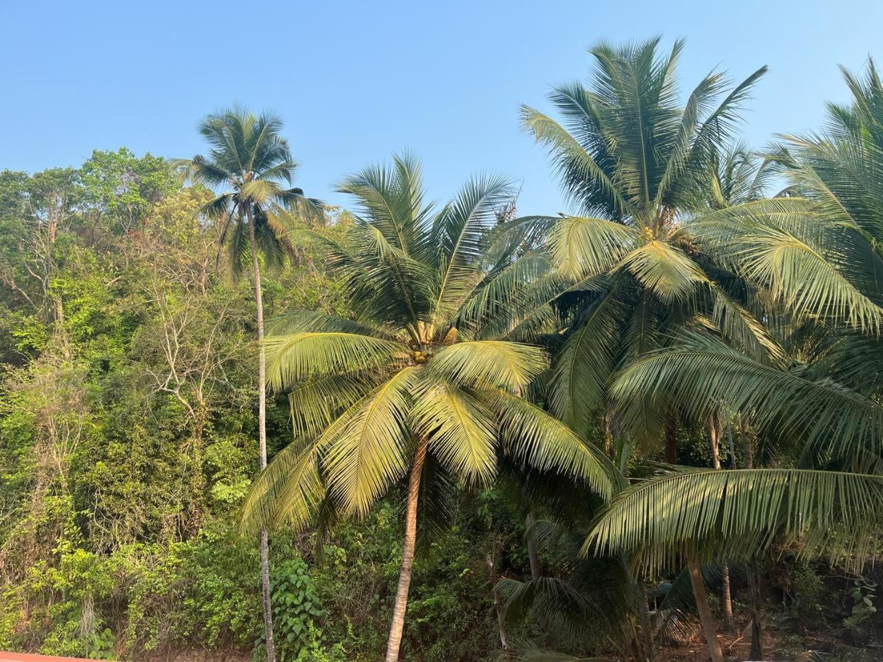 Artham The River View Homestay