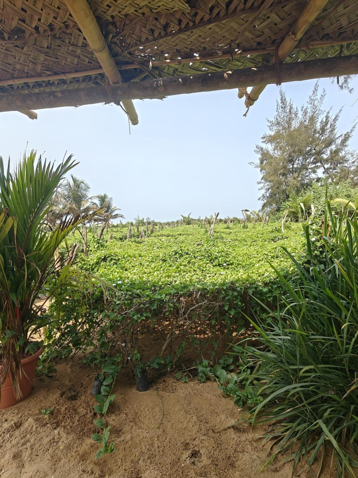 Resort Nakshatra *