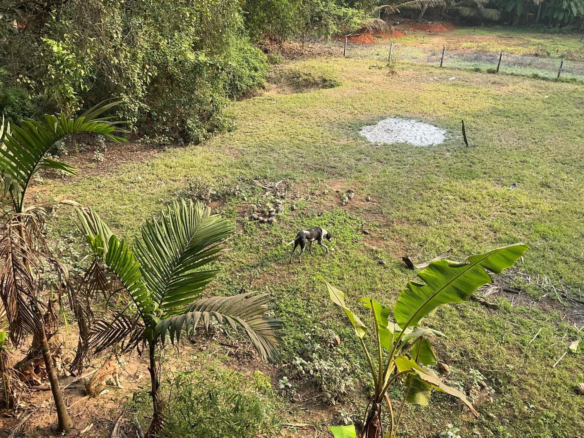 Hostelexp, Gokarna - A Slow-paced Backpackers Community Gokarna (Karnataka)