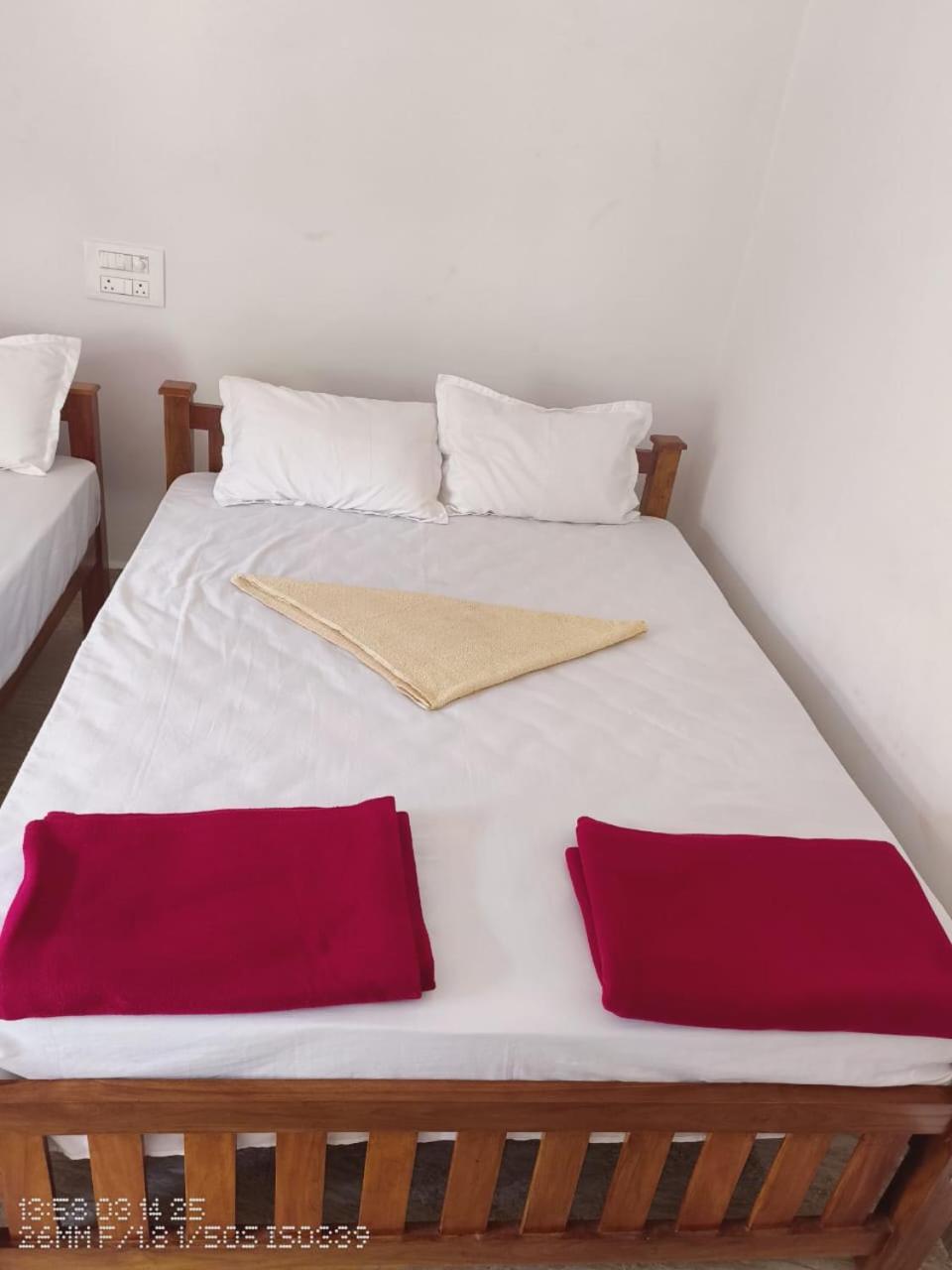 Sea King Homestay *