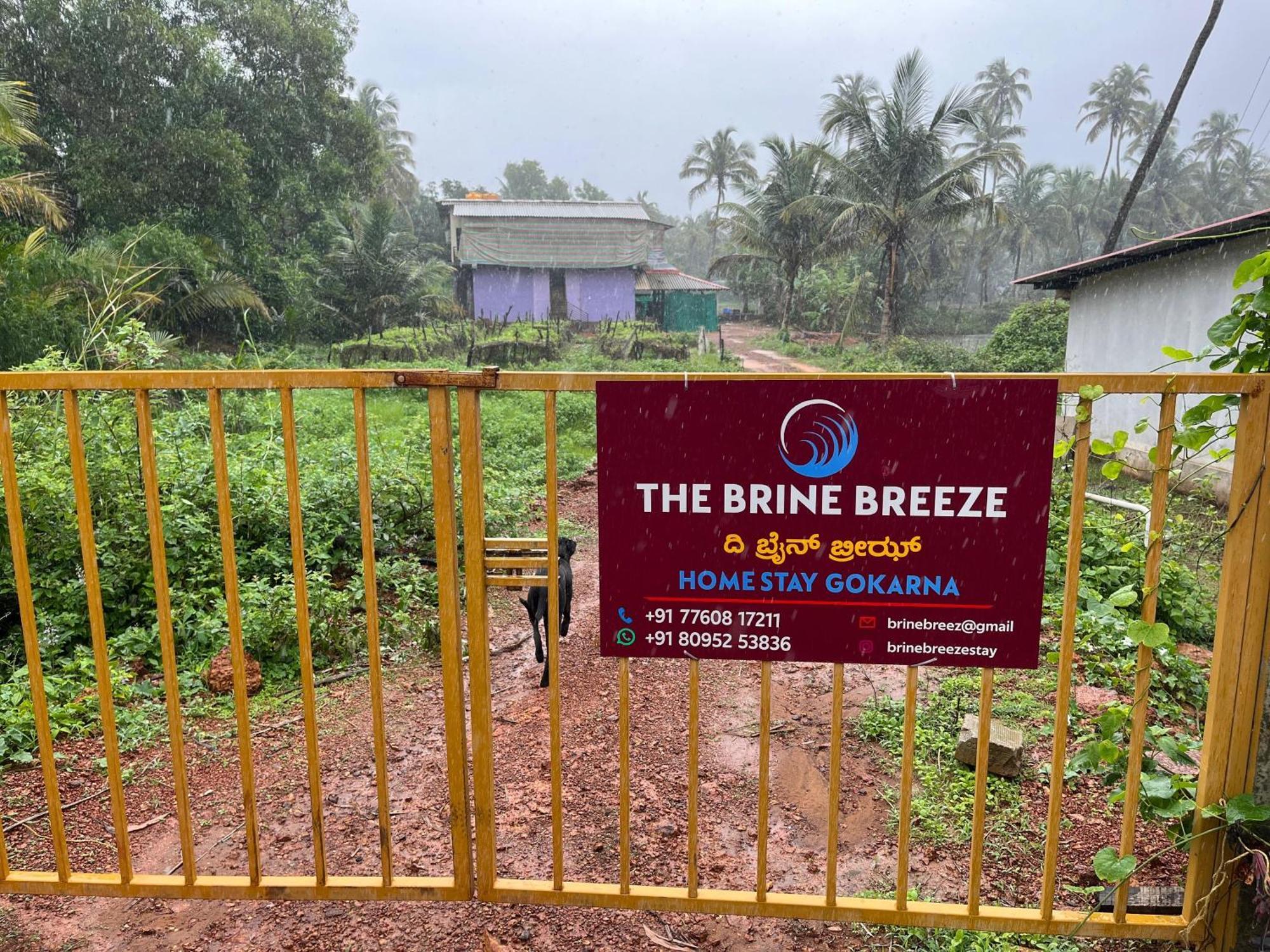 Homestay Brine Breeze