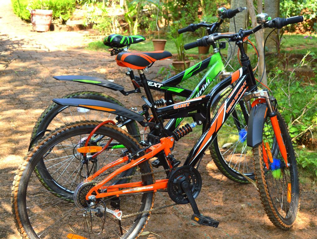 Namaste Yoga Farm Holiday home Gokarna (Karnataka)