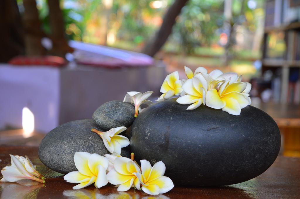 Namaste Yoga Farm * Gokarna (Karnataka)