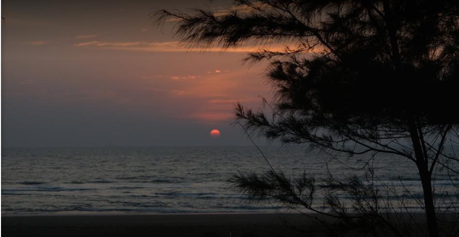 Resort Campcee By Gokarna Adventure 3*