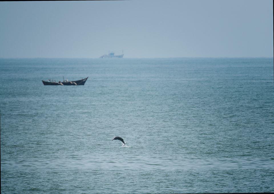 Honey Beach Cottages 2* Gokarna (Karnataka)