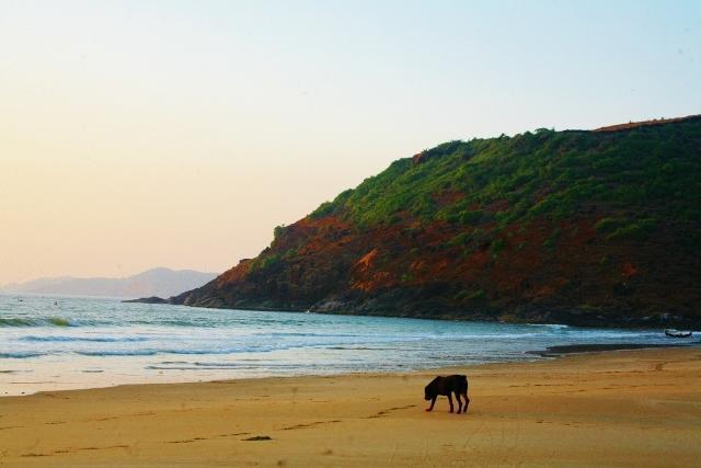 Nirvana Nature * Gokarna (Karnataka)