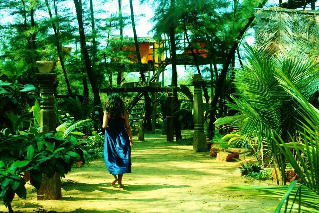Nirvana Nature *
