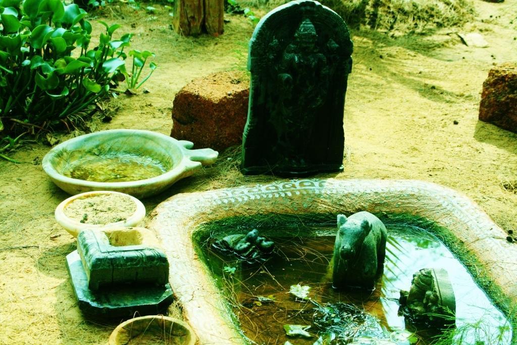 Nirvana Nature Gokarna (Karnataka)