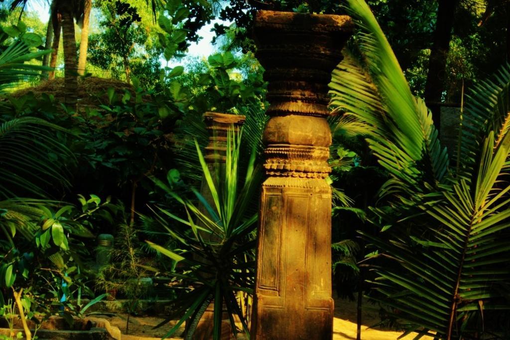Nirvana Nature