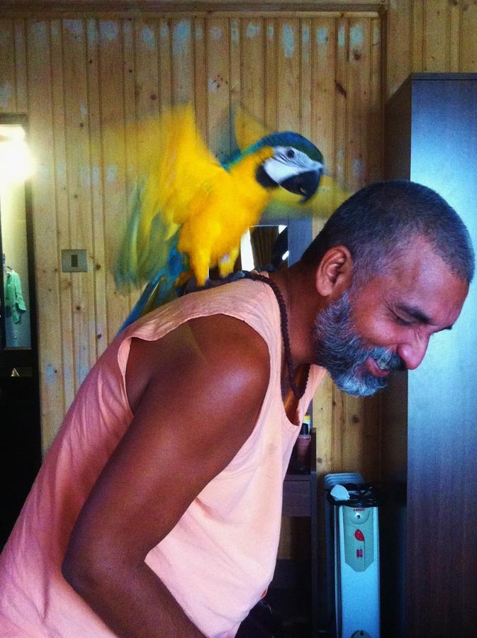 Nirvana Nature Resort Gokarna (Karnataka)