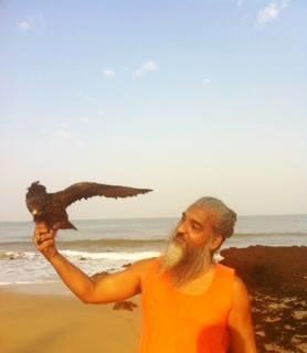 Resort Nirvana Nature Gokarna (Karnataka)