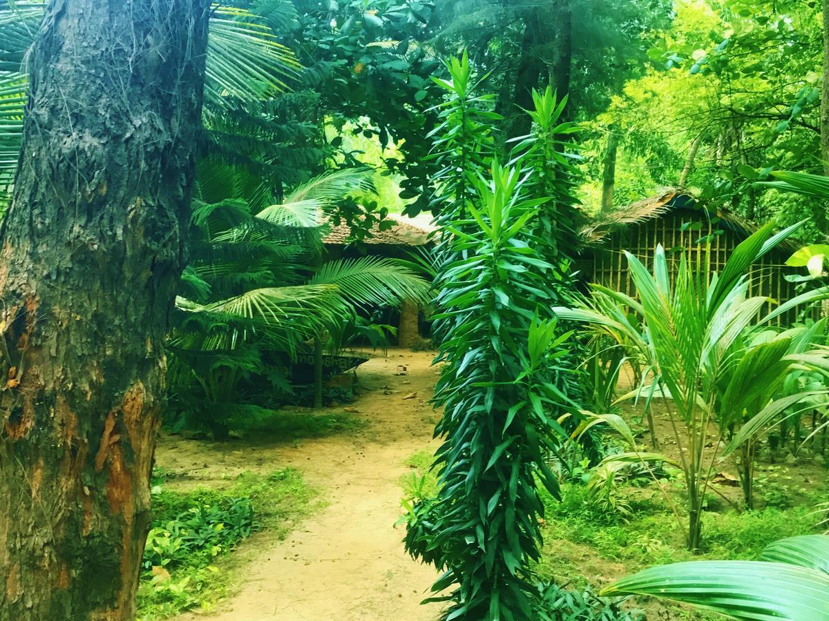 Nirvana Nature Resort