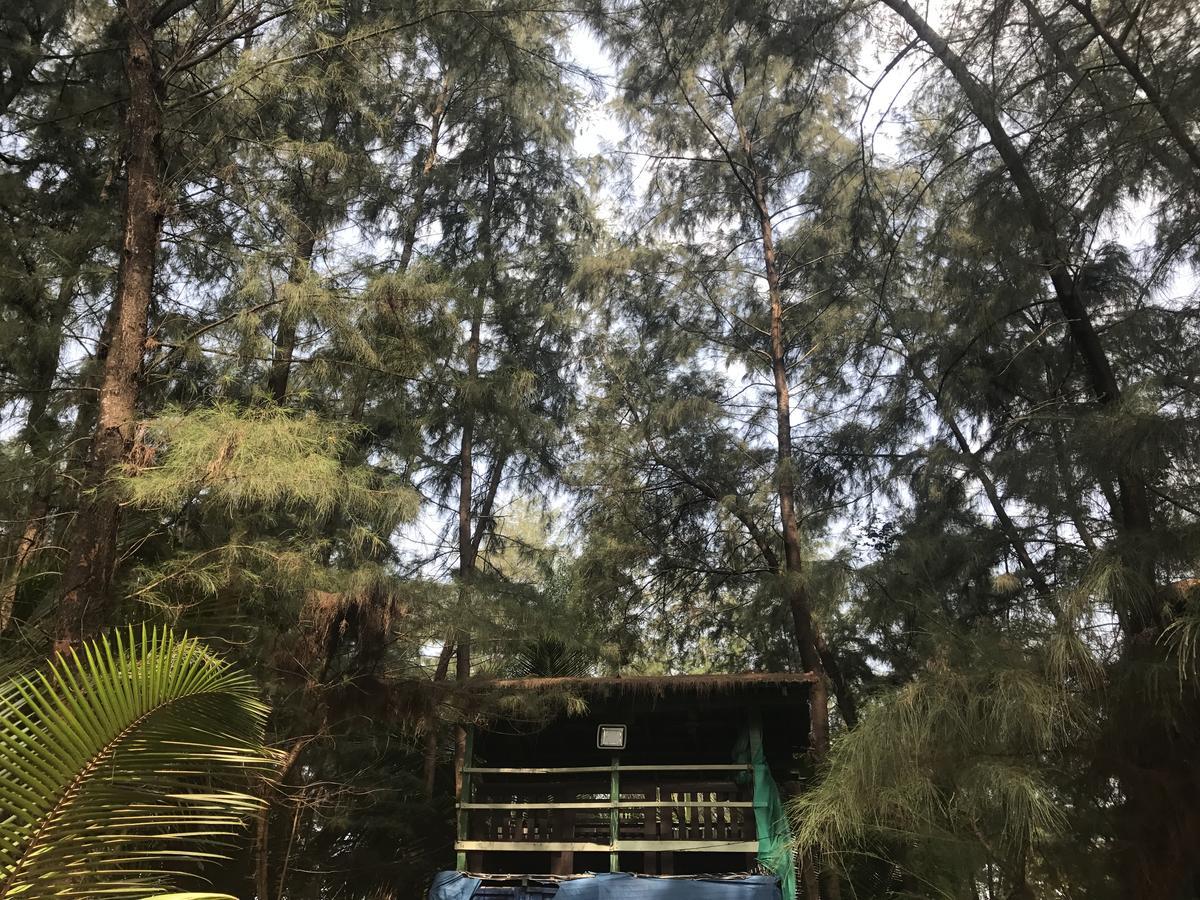 Nirvana Nature *