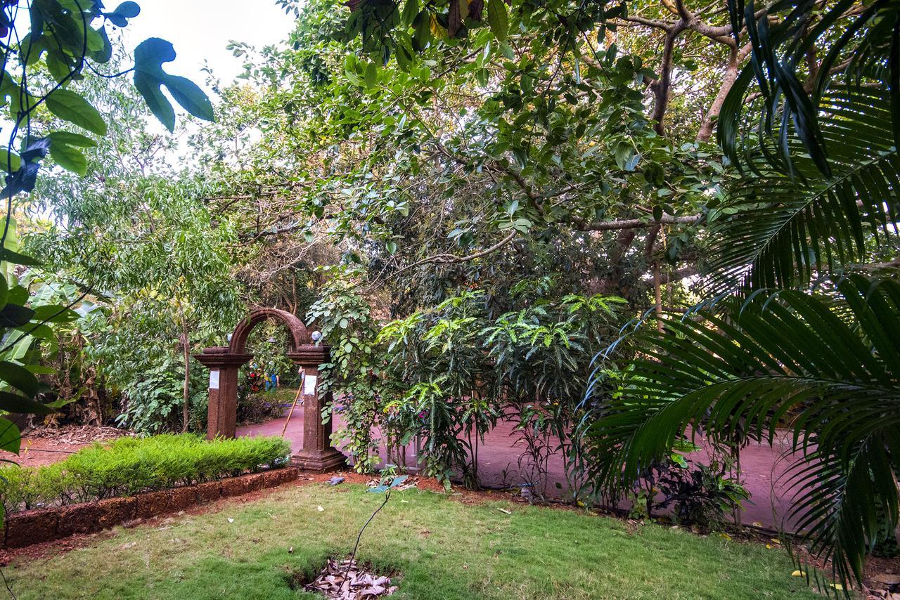 Namaste Sanjeevini 2* Gokarna (Karnataka)