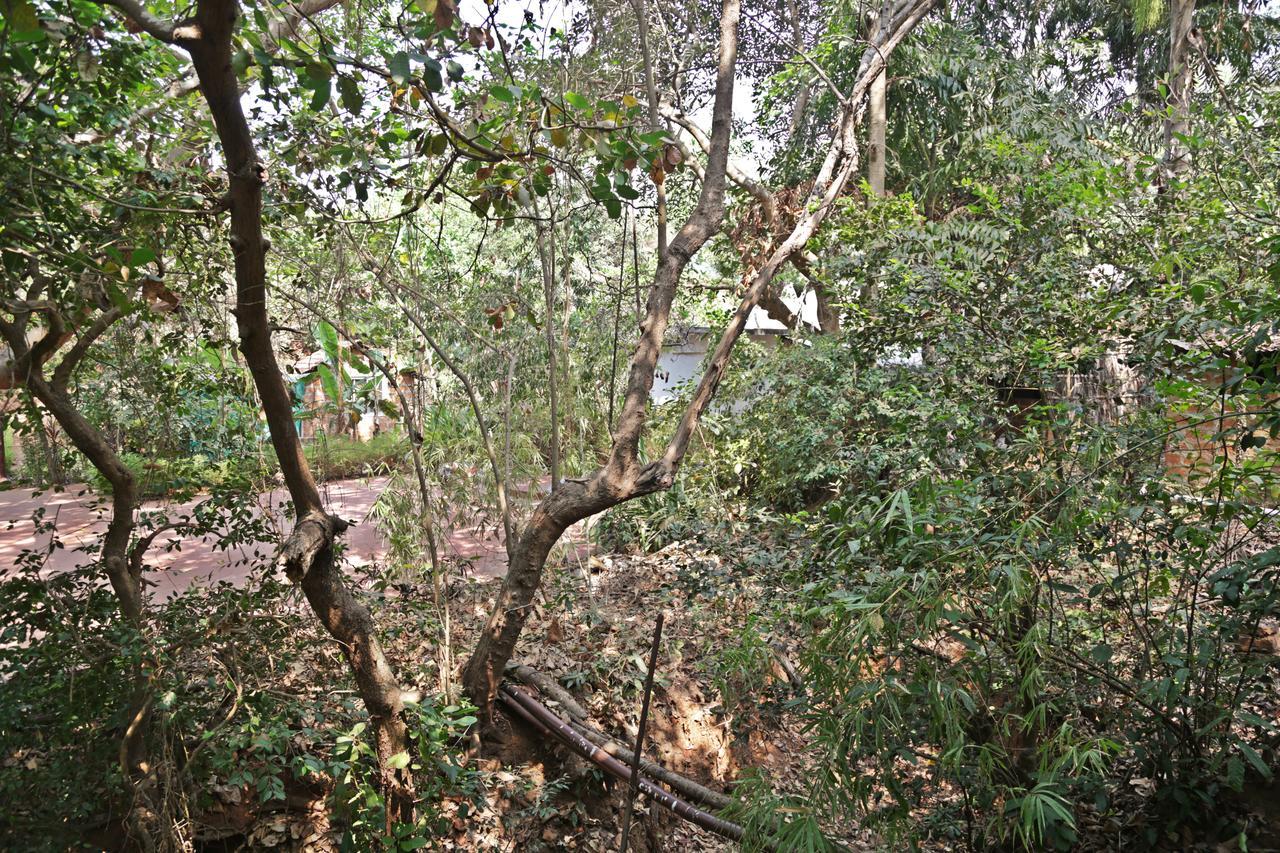 Resort Namaste Sanjeevini 2*