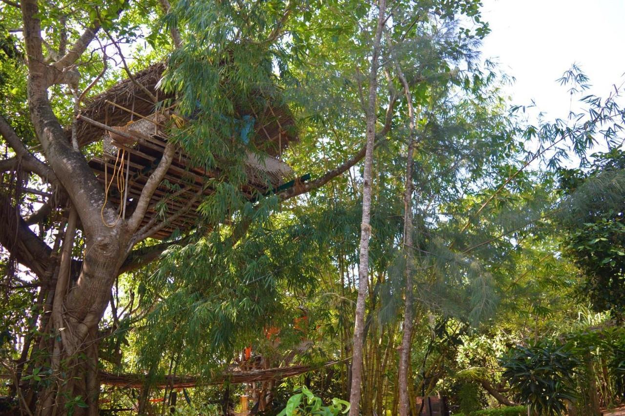 Namaste Yoga Farm Gokarna (Karnataka)