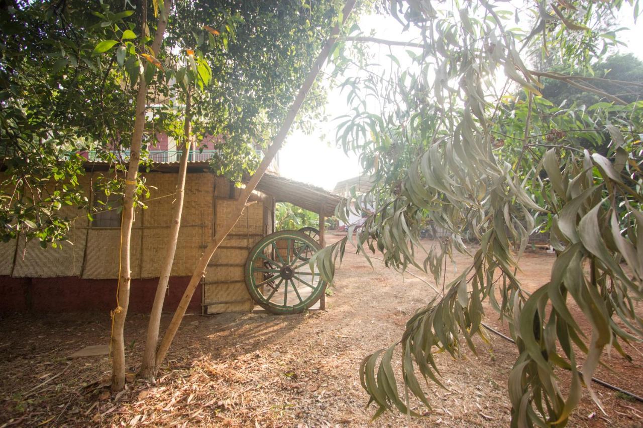 Inn Hari Om Gokarna (Karnataka)