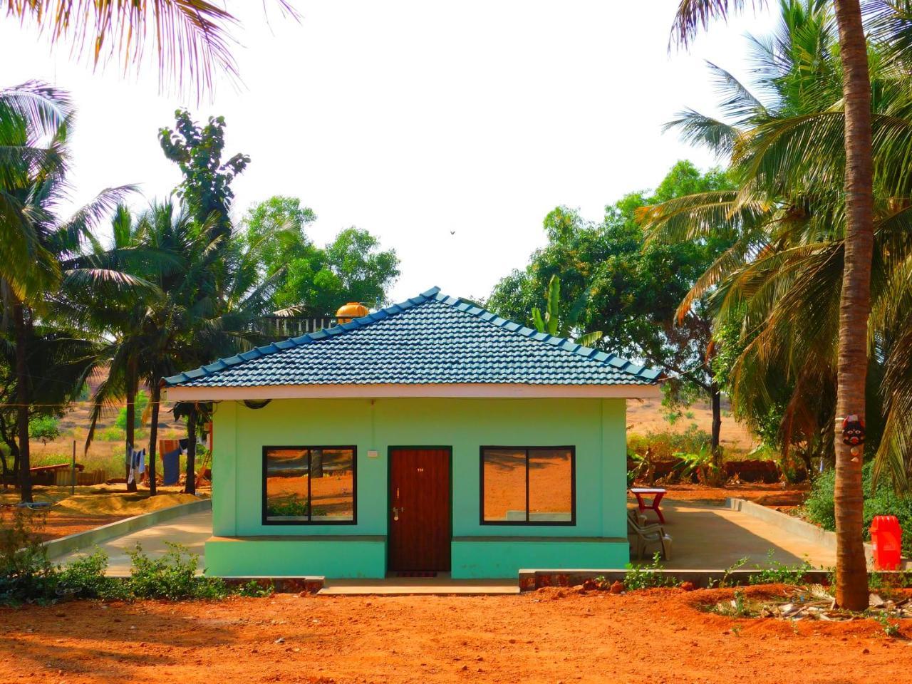 Coconut Tree Gokarna * Gokarna (Karnataka)