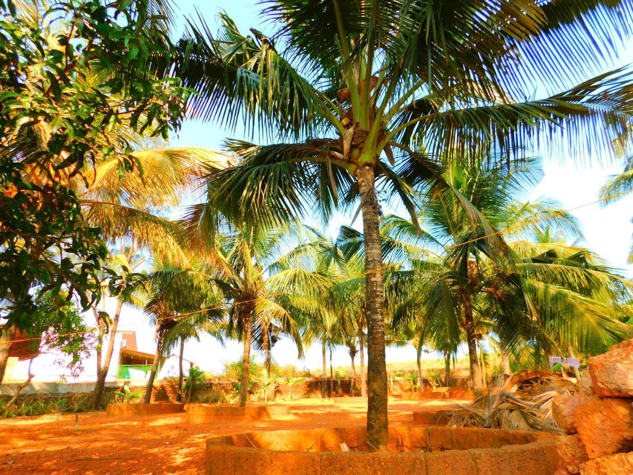 Coconut Tree Gokarna Resort Gokarna (Karnataka)