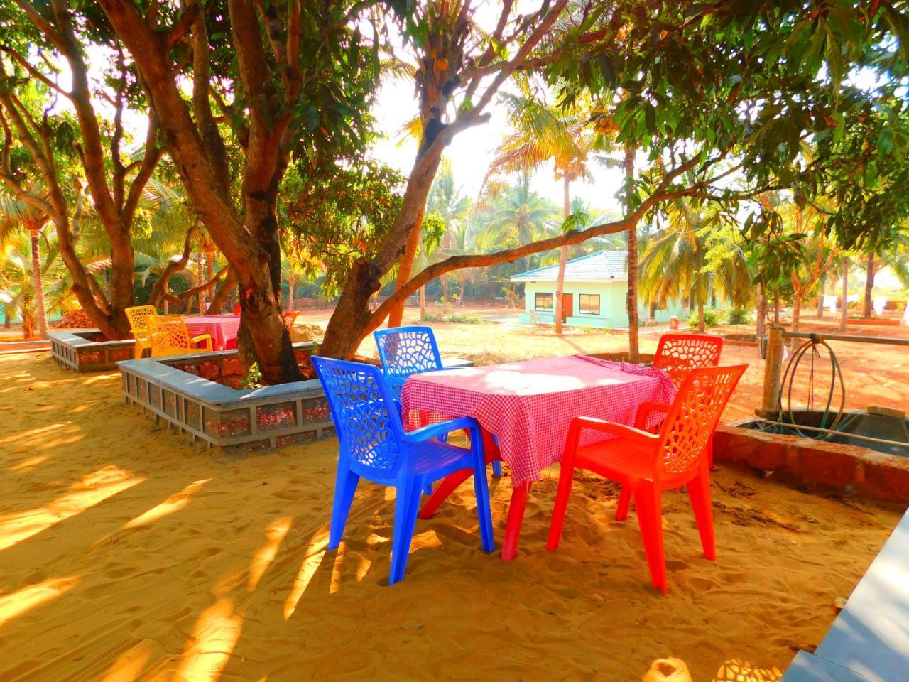 Coconut Tree Gokarna Gokarna (Karnataka)