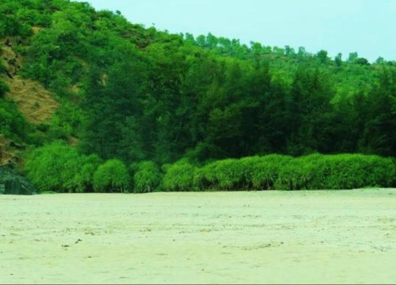 Resort Nirvana Nature *