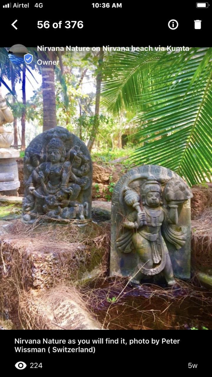 Nirvana Nature Resort