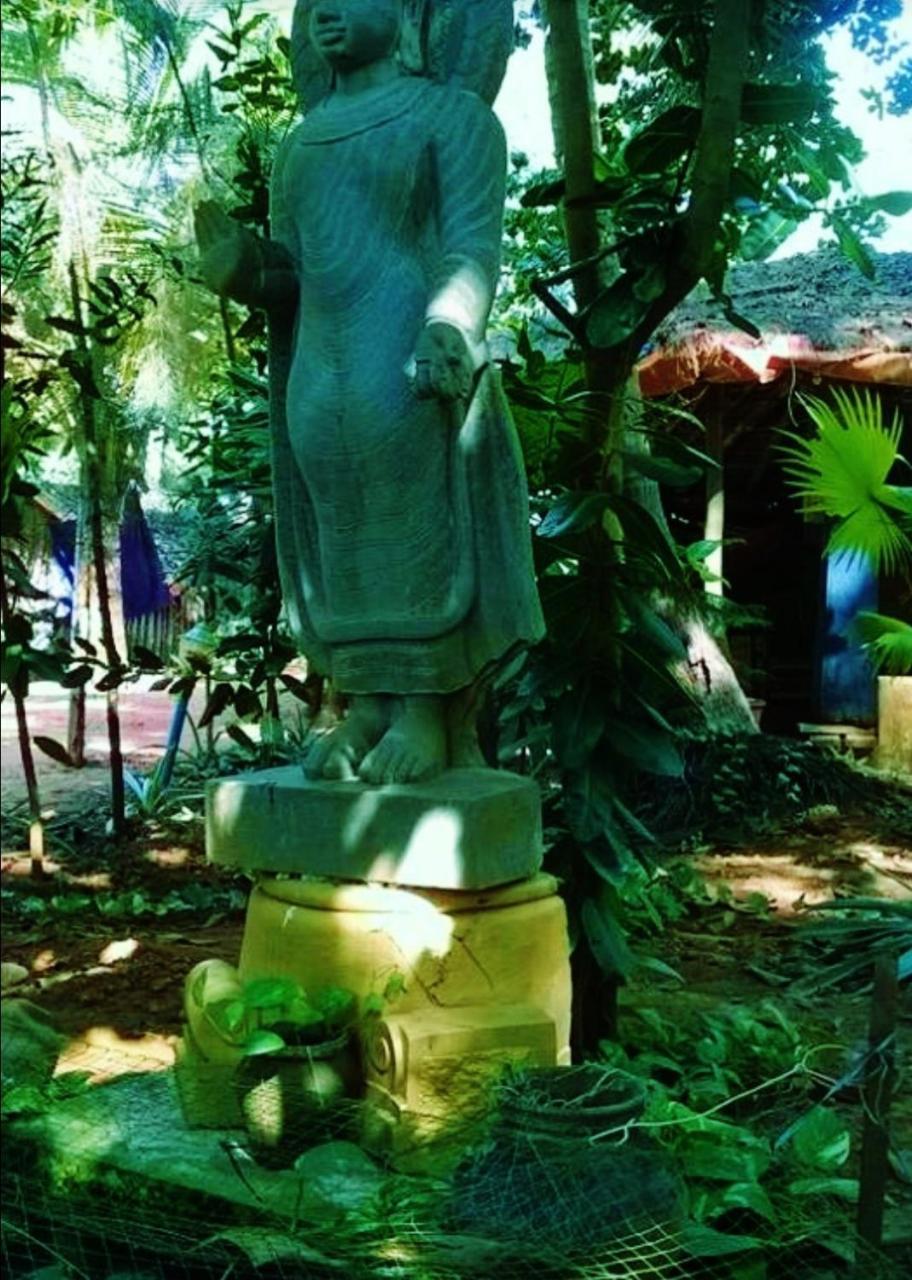 Nirvana Nature