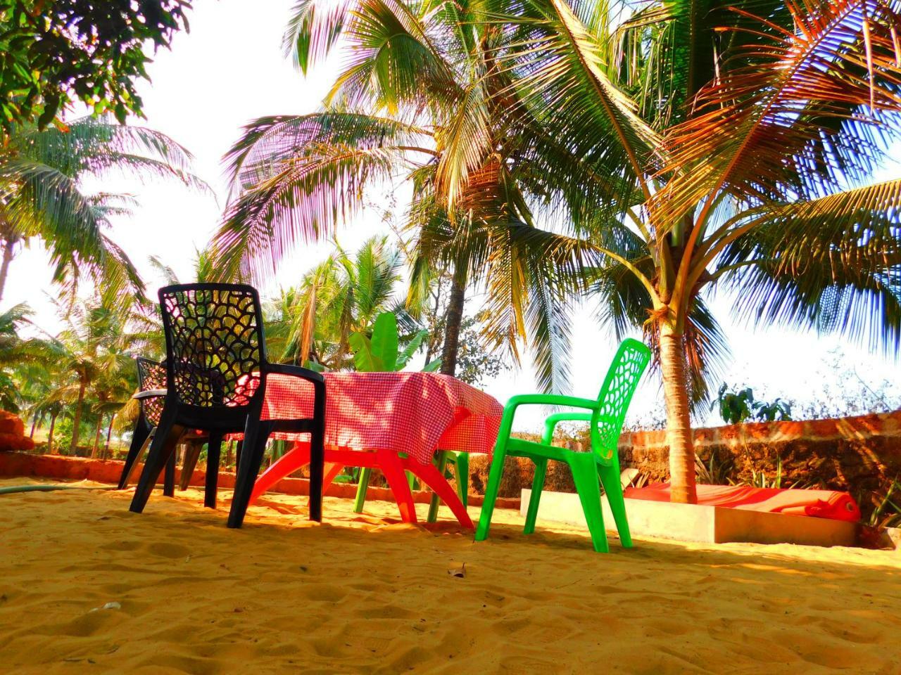Coconut Tree Gokarna *