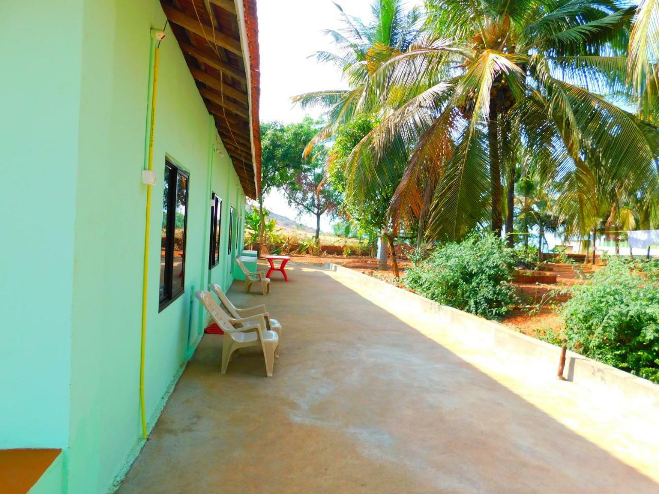 Coconut Tree Gokarna