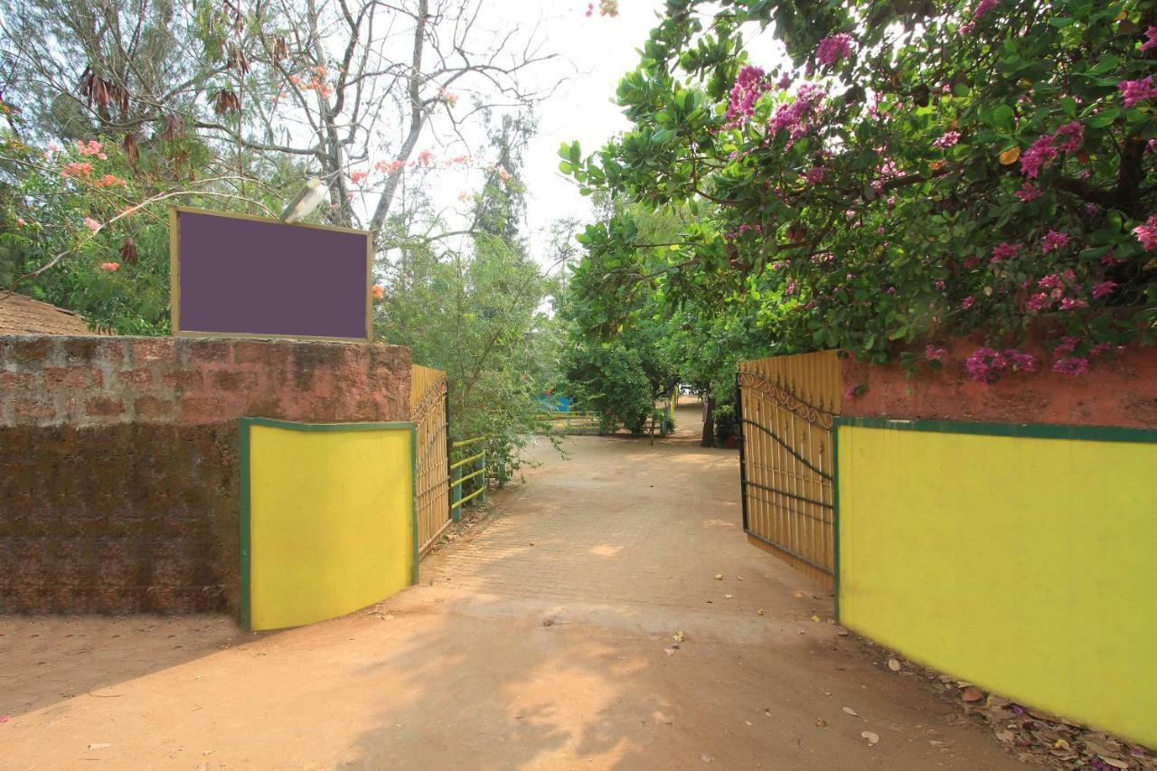 Hotel Spot On 38786 Patang Beach 3*