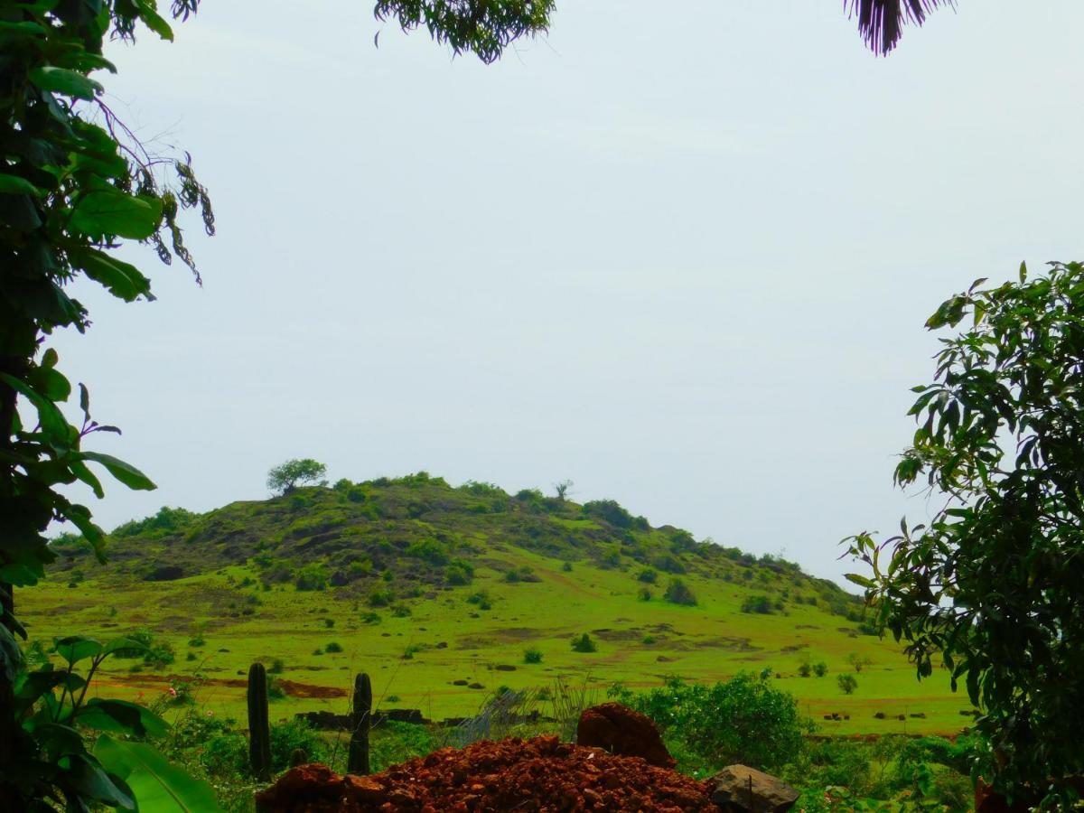 Coconut Tree Gokarna *