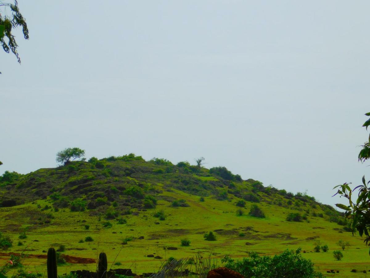 Coconut Tree Gokarna *